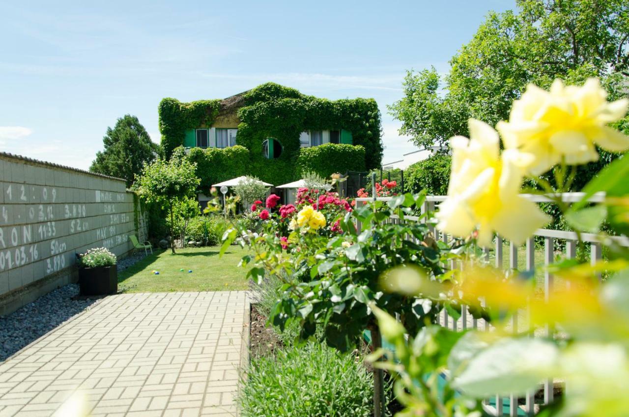 Gaestehaus Schmidt Podersdorf am See Exterior foto